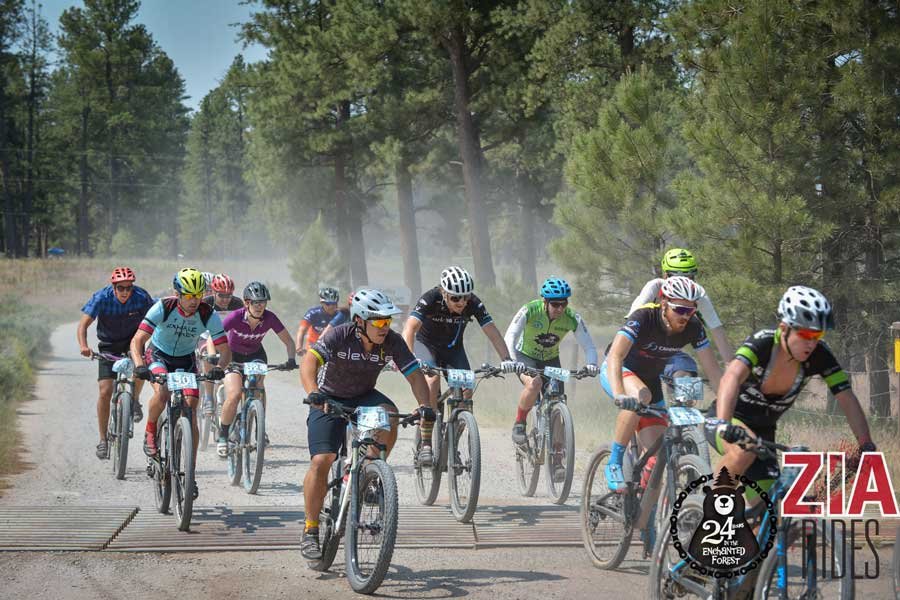 24 Hours in the Enchanted Forest