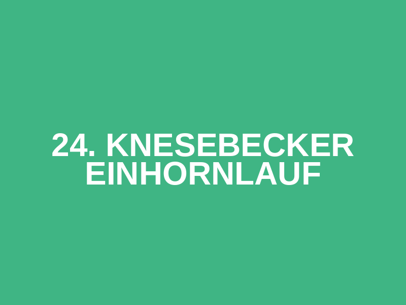 24. Knesebecker Einhornlauf Logo
