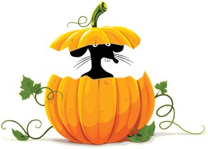 26th Annual River City Rat Race Logo