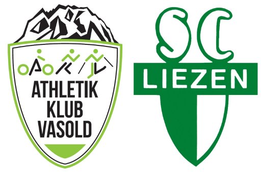 2.Totes Gebirge Trail & Berglauf Logo