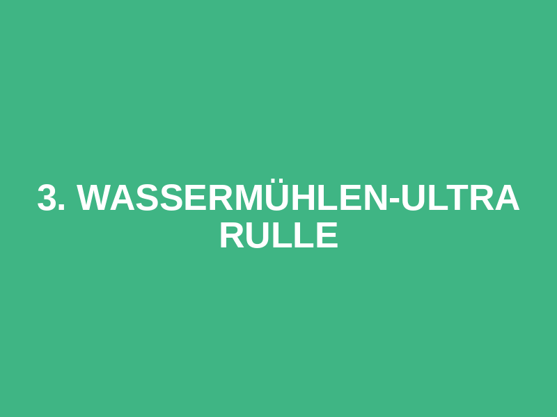 3. Wassermühlen-Ultra Rulle Logo