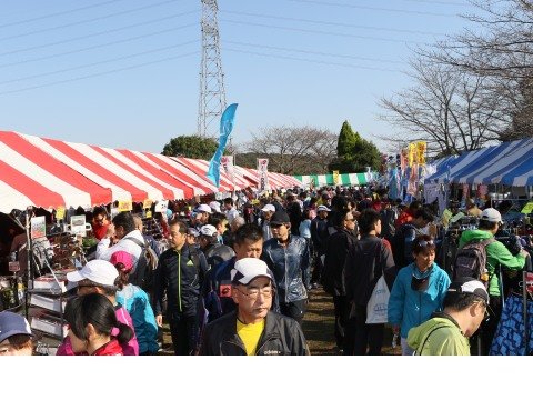 32nd Teganuma Eco-Marathon [Early Entry for Residents] ( 第32回大会手賀沼エコマラソン【市民先行枠】 ) Logo