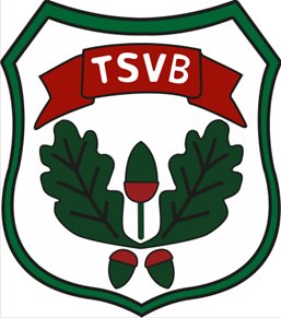 34. Breiholzer Sportwochenlauf