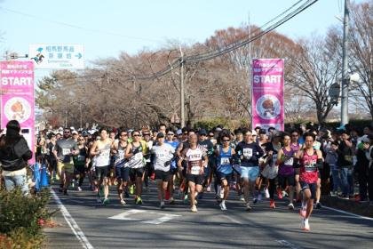 39th Nomaoi-no-Sato Health Marathon & 21st Walking Event (第39回野馬追の里健康マラソン大会・第21回ウオーキング大会) Logo