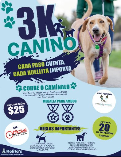 3k Canino