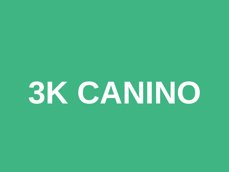 3k Canino