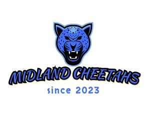 3rd Annual Son’s of The American Legion Summer Track & Field Meet