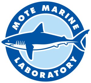 40th Annual Run for the Turtles Logo