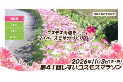 41st Shisui Cosmos Marathon (第41回しすいコスモスマラソン)