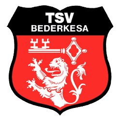 41. Volkslauf „Rund um den Beerster See”