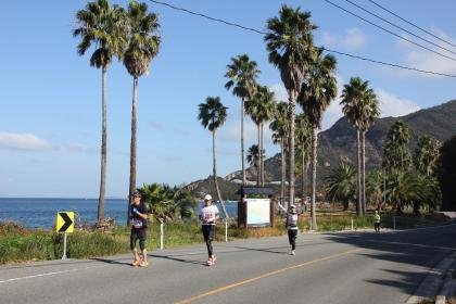 45th Setonaikai Turtle Full Marathon National Championship (第45回瀬戸内海タートル・フルマラソン全国大会) Logo