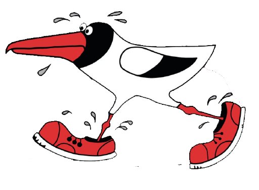 46. Usedom Marathon & 35. Halbmarathon Logo