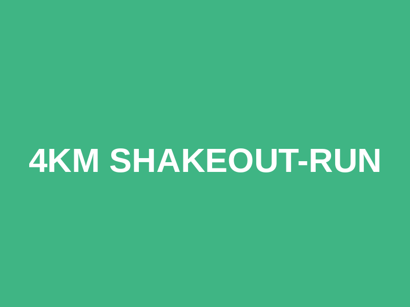 4km Shakeout-Run Logo