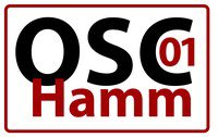 53. Hammer Sparkassen-Winterlaufserie 2027 va Logo