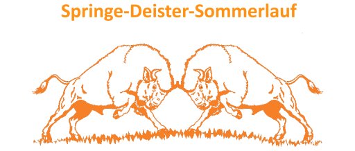 6. Springe - Deister - Sommerlauf