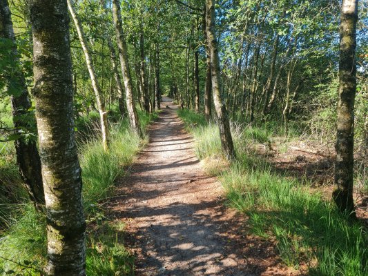 60e OLAT Dagwandeltocht Logo