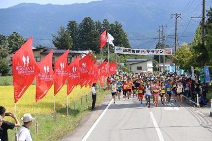 61st Shirauchi Wakunagi Marathon (第61回 白鷹若鮎マラソン)