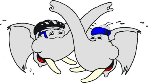 8. ENTEGA RüsselKids Triathlon Logo
