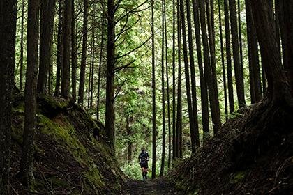 8th Ninja Trail Running Race (第8回 忍者トレイルランニングレース)