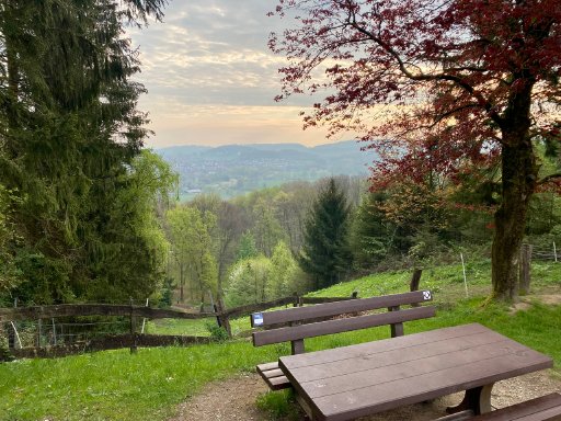 9. Borgberg Trail-Ultramarathon