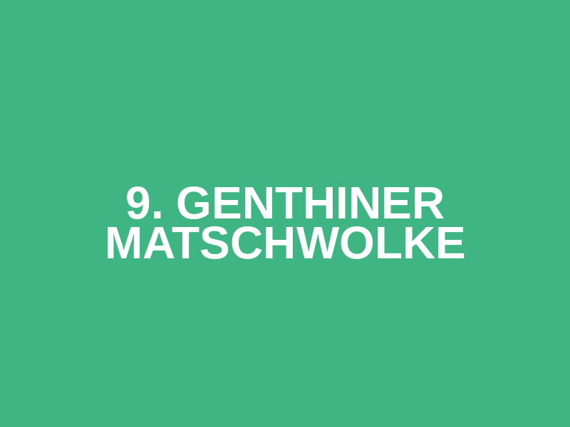 9. Genthiner Matschwolke Logo