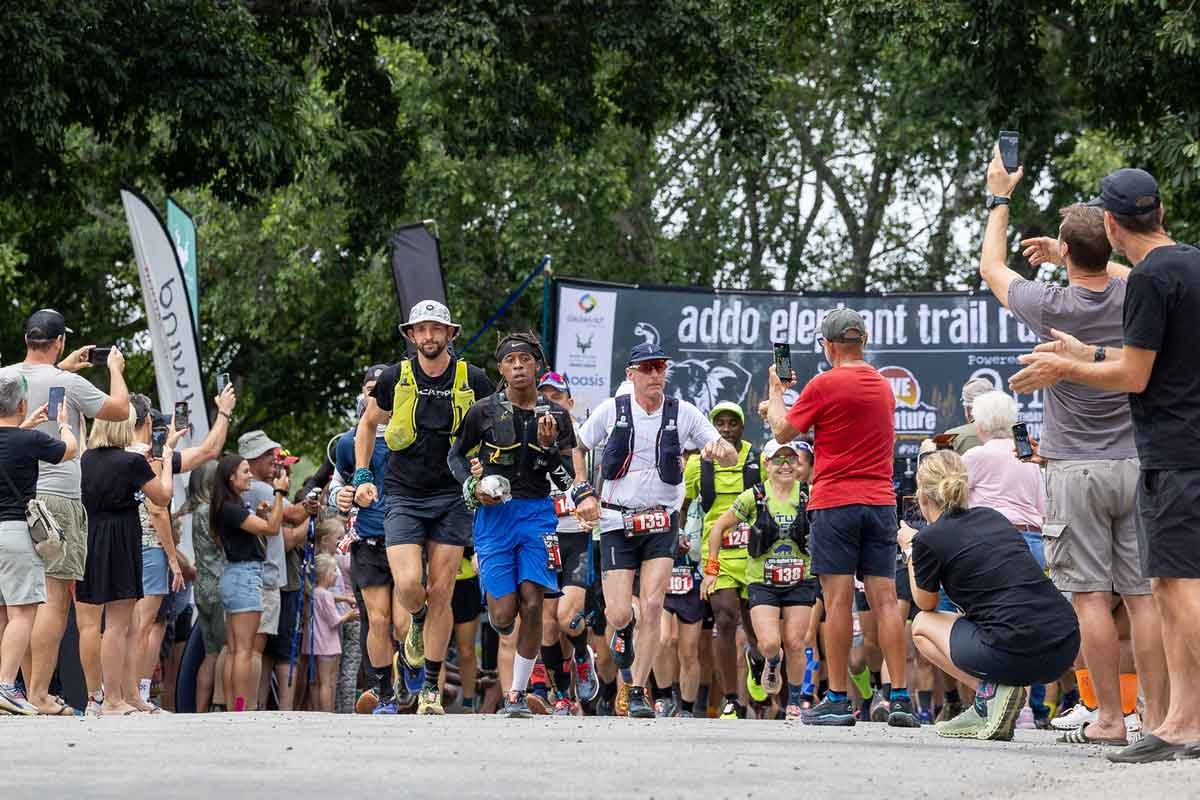 Addo Elephant Trail Run