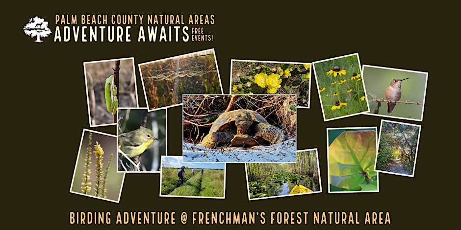 Adventure Awaits -Birding Adventure @ Frenchman's Forest Logo