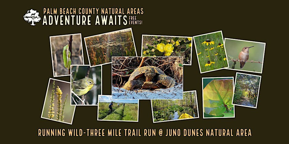 Adventure Awaits - Running Wild Three Mile Trail  Run @ Juno Dunes