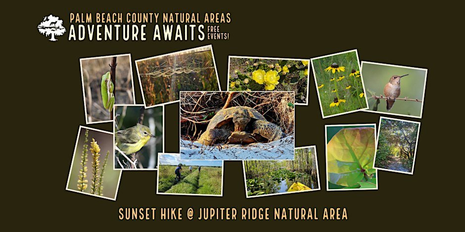 Adventure Awaits - Sunset Hike @ Jupiter Ridge