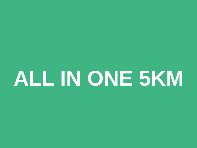 ALL IN ONE 5km Logo