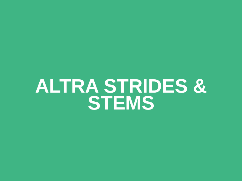 ALTRA Strides & Stems