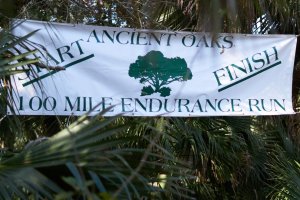 Ancient Oaks 100-Mile Endurance Run Logo
