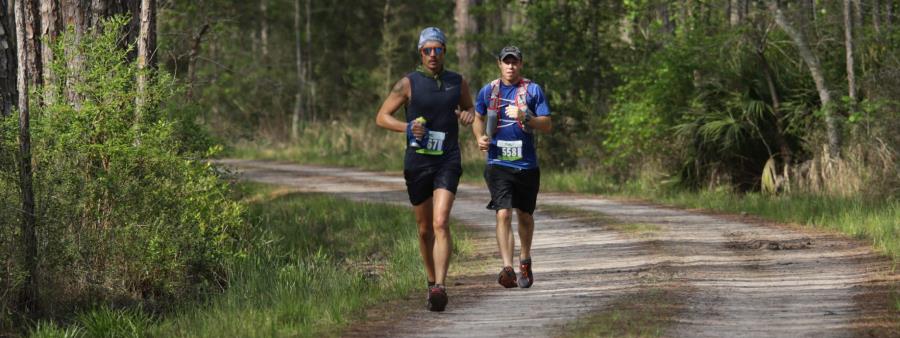 Angry Tortoise 25K/50K