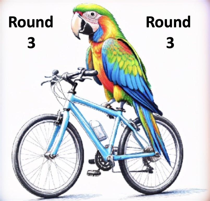 ATTA 17km Early Bird 3 Logo
