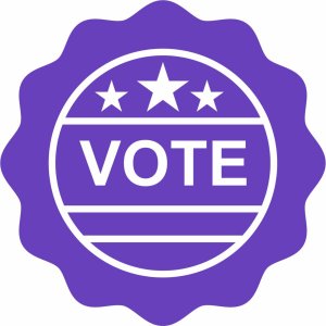Badgerland Striders Board of Directors Elections - Please Read the Candidate Bio's below before VOTING Logo