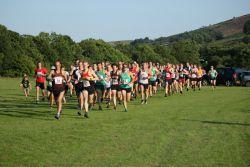 Bamford Carnival Fell Race Logo