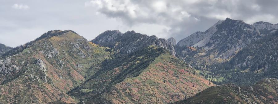 Bear Canyon Trail Run Logo