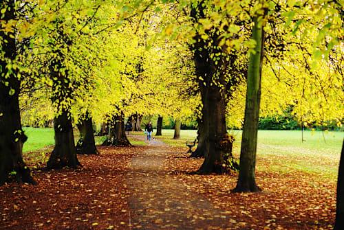 Beddington Park 10k 2026 Logo