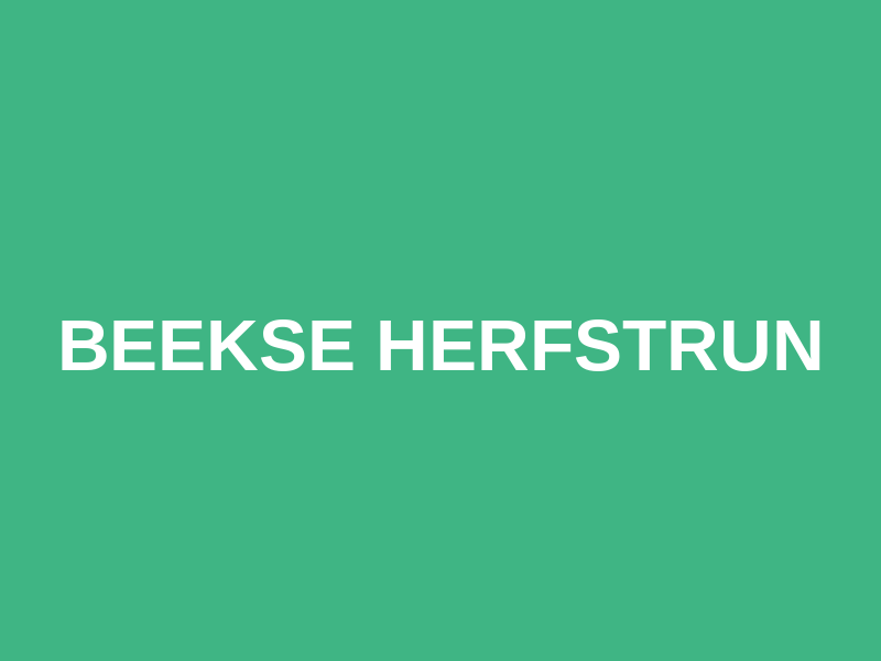 Beekse Herfstrun