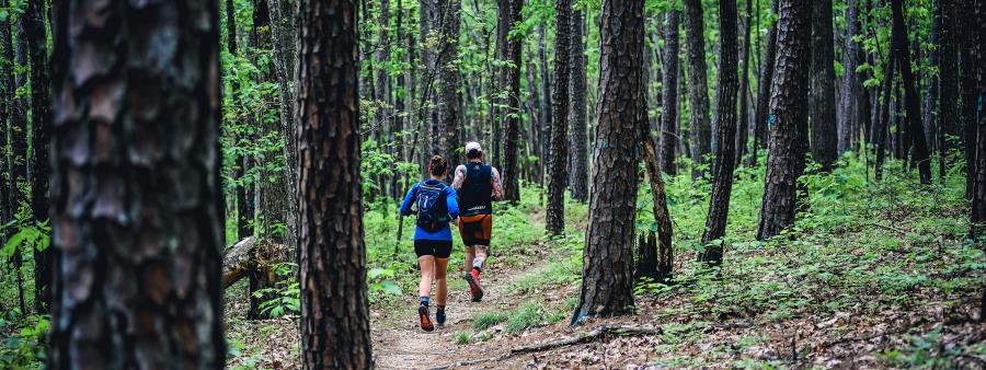 Berryman 50 mile and Marathon Trail  Races