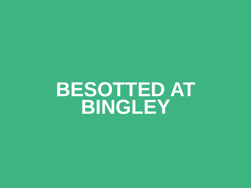 Besotted at Bingley Logo