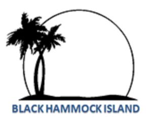 BHI 2nd Annual 5K & Fun Run Logo