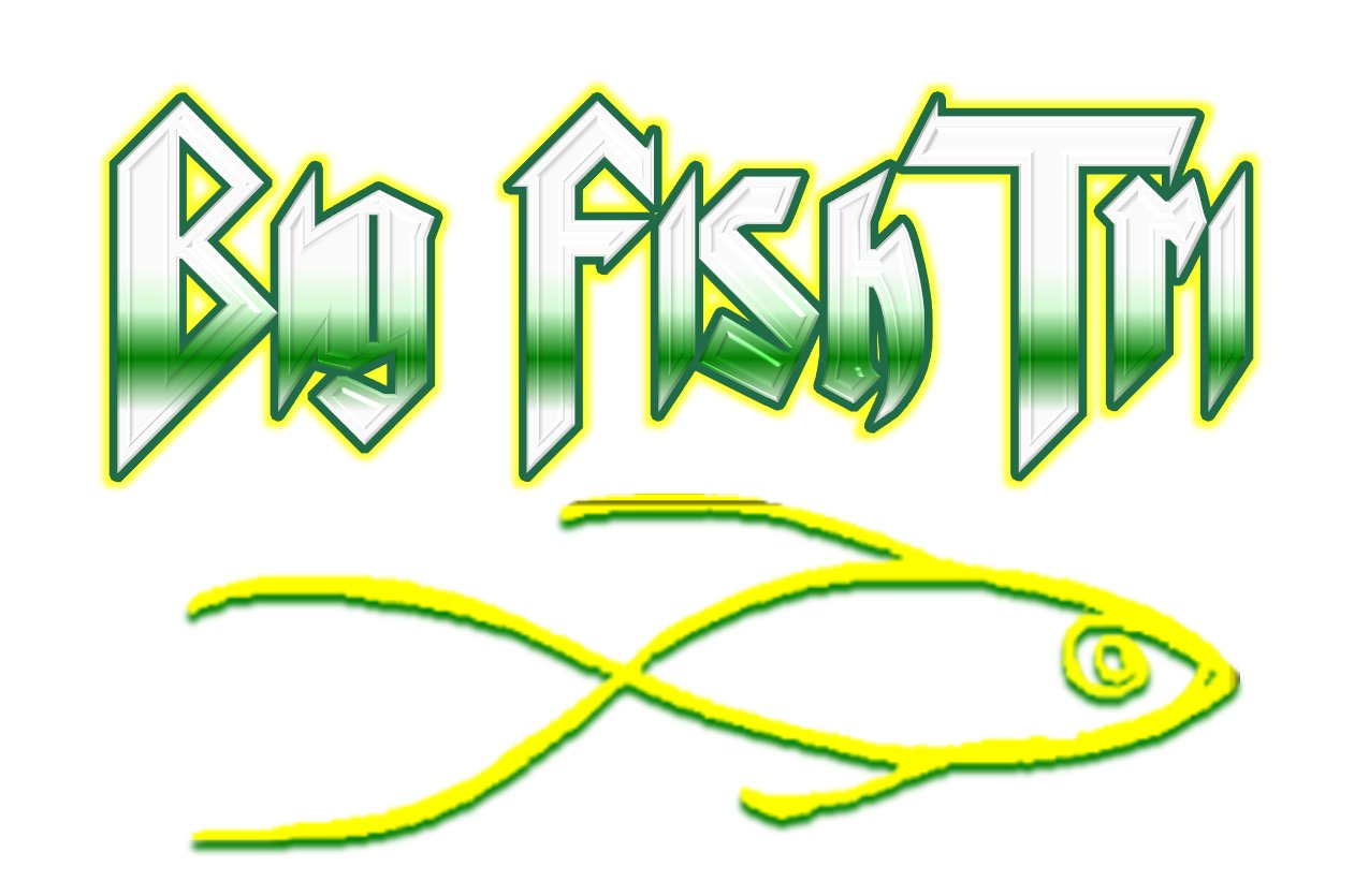 Big Fish Triathlon 2026 Logo