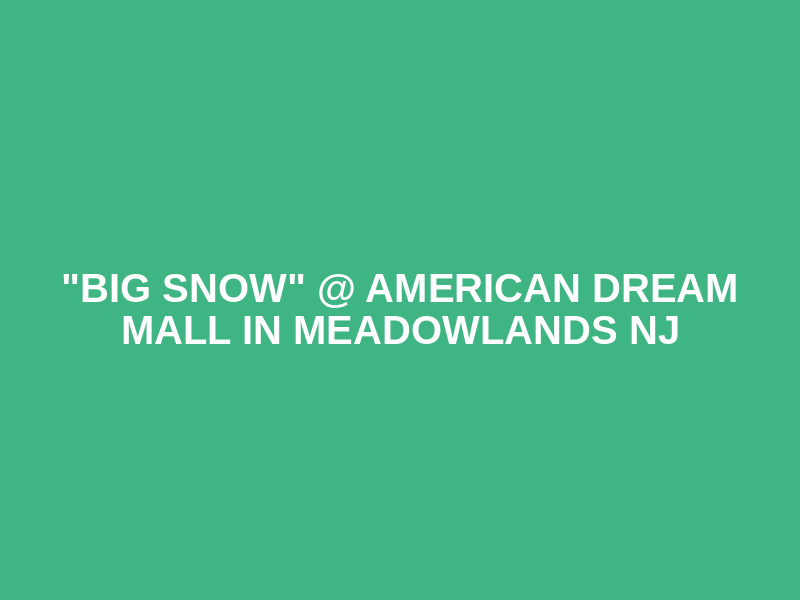 "Big Snow" @ American Dream Mall in Meadowlands NJ