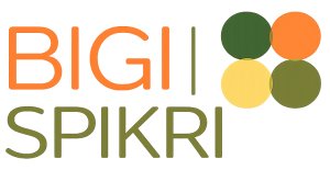 Bigi Spikri Optocht Rotterdam 2027 Logo