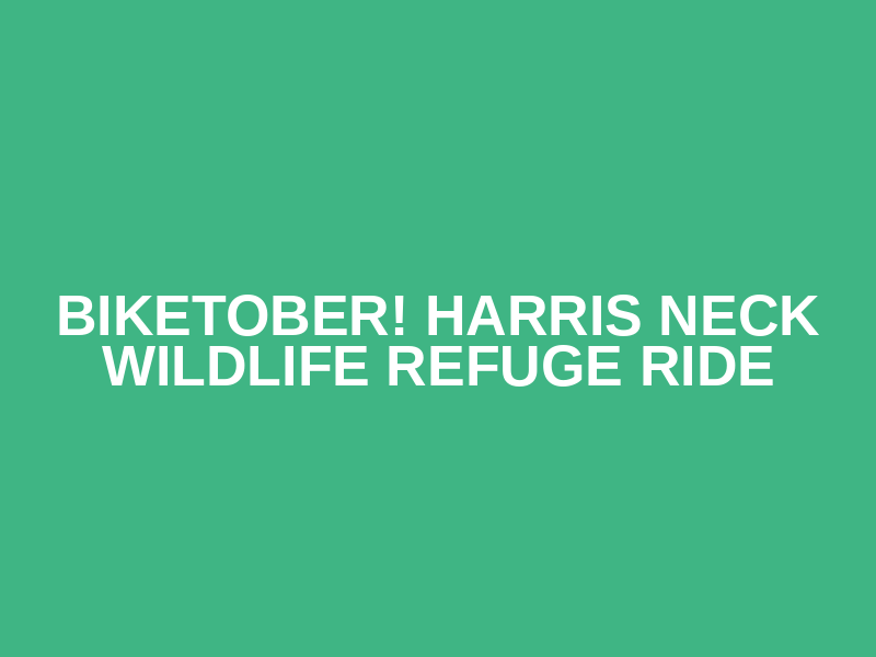 Biketober! Harris Neck Wildlife Refuge Ride