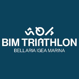 BIM Triathlon Olimpico GOLD Logo
