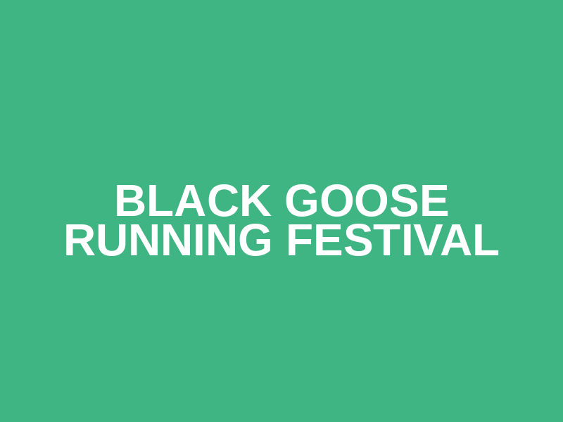black goose running festival Logo