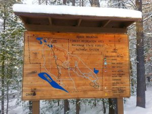 Black Mountain Nordic Races Logo