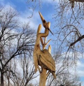 Blue Heron Half & 5K Logo